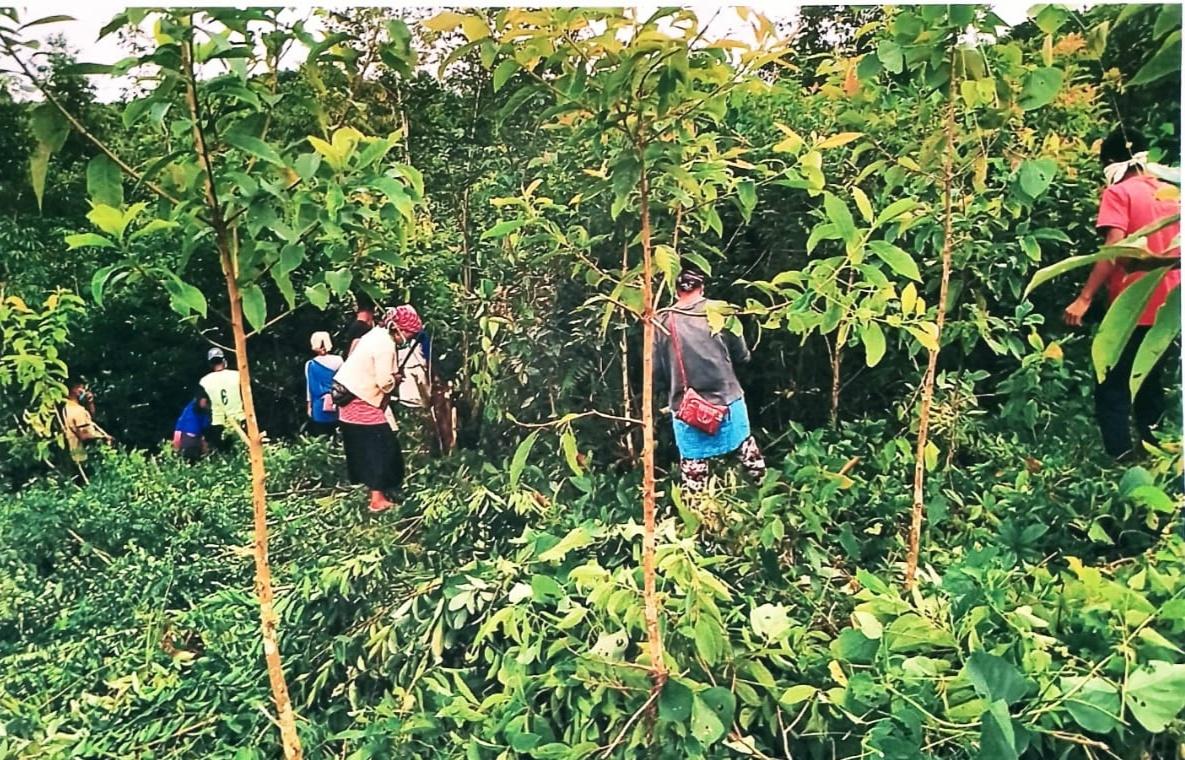 C:\Users\Lavinia Pde\Pictures\Camera Roll\Nongpyrdet\Nongpyrdet\IMG_20220719_124850.jpg